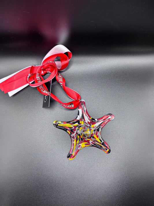 Maryland Terrapin Starfish